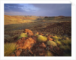 Sunrise in Millstream-Chichester National Park by Anonymous