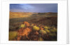 Sunrise in Millstream-Chichester National Park by Anonymous