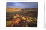 Sunrise in Millstream-Chichester National Park by Anonymous