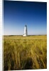 Great Point Lighthouse by Anonymous