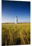 Great Point Lighthouse by Anonymous