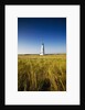 Great Point Lighthouse by Anonymous