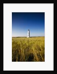 Great Point Lighthouse by Anonymous