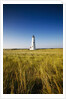 Great Point Lighthouse by Anonymous