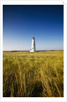 Great Point Lighthouse by Anonymous