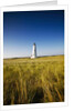 Great Point Lighthouse by Anonymous