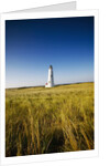 Great Point Lighthouse by Anonymous