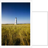 Great Point Lighthouse by Anonymous