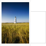 Great Point Lighthouse by Anonymous