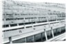 Empty stadium by Anonymous