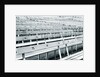 Empty stadium by Anonymous