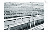 Empty stadium by Anonymous