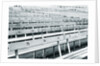 Empty stadium by Anonymous