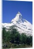 Matterhorn, with snow covered peak, Switzerland, Zermatt by Anonymous