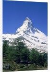 Matterhorn, with snow covered peak, Switzerland, Zermatt by Anonymous