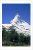 Matterhorn, with snow covered peak, Switzerland, Zermatt by Anonymous