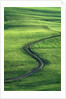 Country lane winding through meadow in the Allgaeu Alps by Anonymous