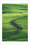 Country lane winding through meadow in the Allgaeu Alps by Anonymous