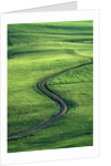 Country lane winding through meadow in the Allgaeu Alps by Anonymous