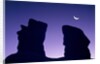 Rock formation in Devil's Garden at night by Anonymous