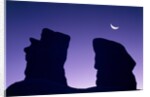Rock formation in Devil's Garden at night by Anonymous