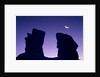 Rock formation in Devil's Garden at night by Anonymous