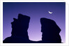 Rock formation in Devil's Garden at night by Anonymous