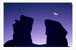 Rock formation in Devil's Garden at night by Anonymous