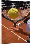 Man playing tennis by Anonymous