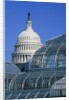 United States Botanic Garden Conservatory and Capitol, Washington DC, USA by Anonymous