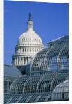 United States Botanic Garden Conservatory and Capitol, Washington DC, USA by Anonymous