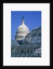 United States Botanic Garden Conservatory and Capitol, Washington DC, USA by Anonymous