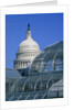 United States Botanic Garden Conservatory and Capitol, Washington DC, USA by Anonymous