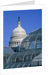 United States Botanic Garden Conservatory and Capitol, Washington DC, USA by Anonymous