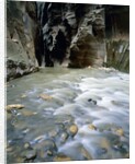 The Narrows, Zion National Park, Utah, USA by Anonymous