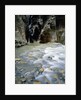 The Narrows, Zion National Park, Utah, USA by Anonymous