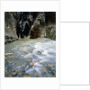 The Narrows, Zion National Park, Utah, USA by Anonymous
