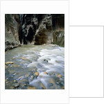 The Narrows, Zion National Park, Utah, USA by Anonymous