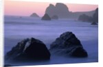 USA, California, Redwood National Park, Rocky shore with surf, dusk by Anonymous