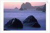 USA, California, Redwood National Park, Rocky shore with surf, dusk by Anonymous