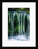 Small cascades in the Yosemite National Park, California by Anonymous