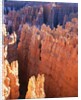 USA, Utah, Bryce Canyon by Anonymous