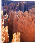 USA, Utah, Bryce Canyon by Anonymous