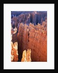 USA, Utah, Bryce Canyon by Anonymous