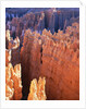 USA, Utah, Bryce Canyon by Anonymous