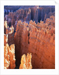 USA, Utah, Bryce Canyon by Anonymous