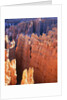 USA, Utah, Bryce Canyon by Anonymous