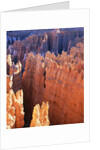 USA, Utah, Bryce Canyon by Anonymous