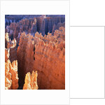 USA, Utah, Bryce Canyon by Anonymous