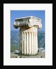 Ionian column an the Holly Street in Delphi, Greece by Anonymous